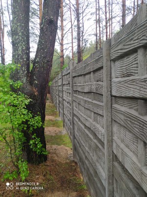 Наши работы